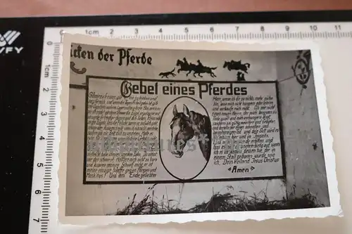 altes Foto Gebet eines Pferdes - Rettershof  Taunus ?? 1942 ?