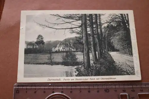 tolle alte Karte - Darmstadt Partie am Steinbrücker Teich 1916