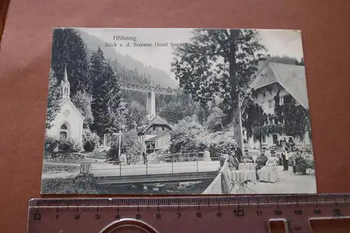 tolle alte Karte Höllsteig - Blick v.d. Terrasse Hotel Sternen - 1910