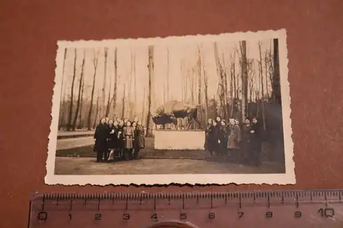 tolles altes Foto -Gruppe Mädels am Denkmal eines Bullen, Stier Ort ??