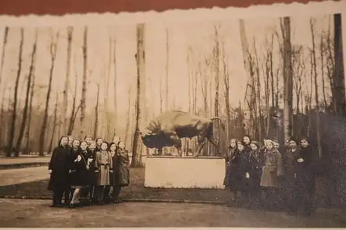 tolles altes Foto -Gruppe Mädels am Denkmal eines Bullen, Stier Ort ??