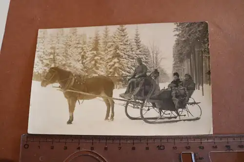 tolles altes Foto - Pferdeschlitten - Pferd im Wald 1924