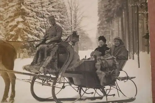 tolles altes Foto - Pferdeschlitten - Pferd im Wald 1924