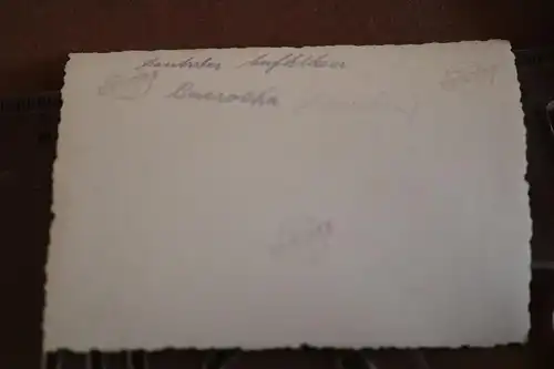  altes Foto - Aufklärer Fieseler Fi 156  bei Be ???