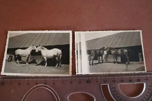 zwei tolle alte Fotos - Soldat mit Pferde - 