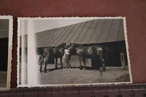 zwei tolle alte Fotos - Soldat mit Pferde -