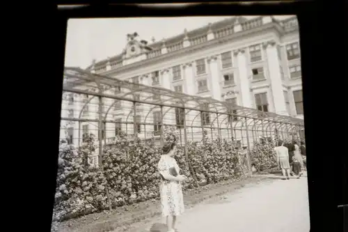 vier alte Negative - Schloss Schönbrunn Wien und Kirche 30-50er Jahre ?