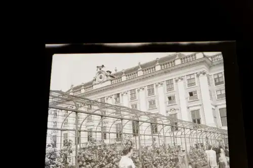 vier alte Negative - Schloss Schönbrunn Wien und Kirche 30-50er Jahre ?