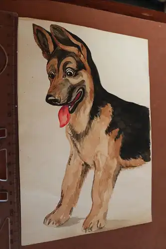 tolle alte Zeichnung , Aquarell ??? Schäferhundwelpe - 1952