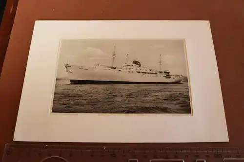 tolles altes Foto - Motorschiff Hornkoog 1965