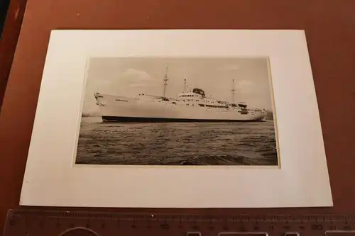 tolles altes Foto - Motorschiff Hornkoog 1965 