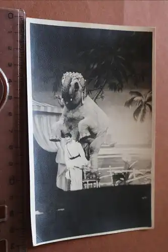 tolles altes Foto -Zirkus ? Varietée ?? Dompteur mit Elefant 