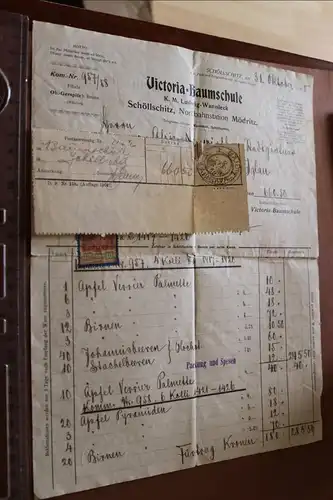 tolle alte Rechnung der Victoria-Baumschule Wannieck in Schöllschitz 1905