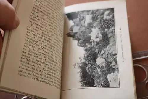 tolles altes Buch - Führer durch den Stadtgarten zu Karlsruhe 1916 - Ries 