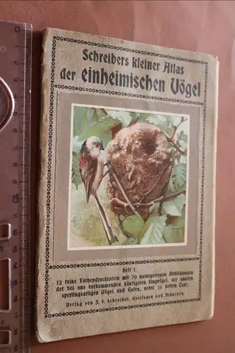 tolles altes Heft - Schreibers kleiner Atlas der einheimischen Vögel Heft 1