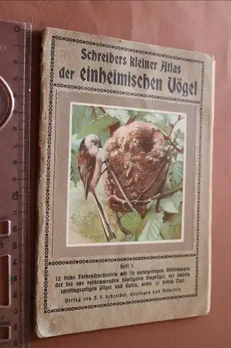 tolles altes Heft - Schreibers kleiner Atlas der einheimischen Vögel Heft 1 