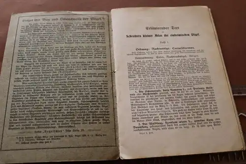 tolles altes Heft - Schreibers kleiner Atlas der einheimischen Vögel Heft 1 