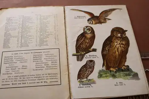 tolles altes Heft - Schreibers kleiner Atlas der einheimischen Vögel Heft 1