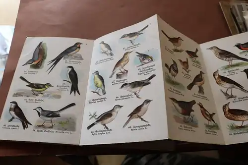 tolles altes Heft - Schreibers kleiner Atlas der einheimischen Vögel Heft 1 