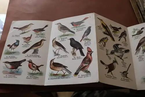 tolles altes Heft - Schreibers kleiner Atlas der einheimischen Vögel Heft 1 