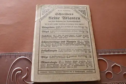 tolles altes Heft - Schreibers kleiner Atlas der einheimischen Vögel Heft 1