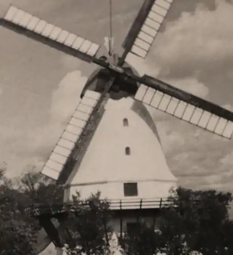 tolles altes Foto - Windmühle bei Sonderburg Düppeler Mühle  30-40er Jahre