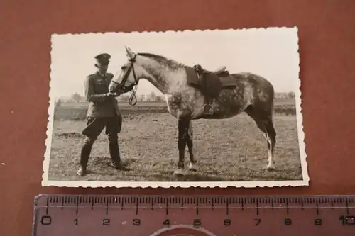 tolles altes Foto Offizier mit seinem Pferd Făgăraș  Rumänien 1942