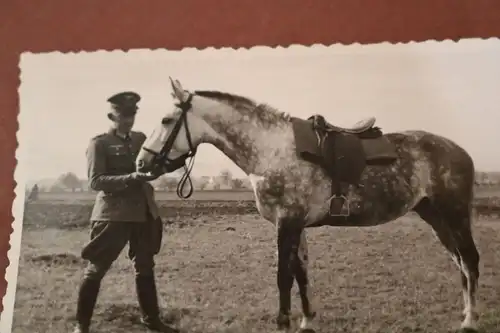 tolles altes Foto Offizier mit seinem Pferd Făgăraș  Rumänien 1942