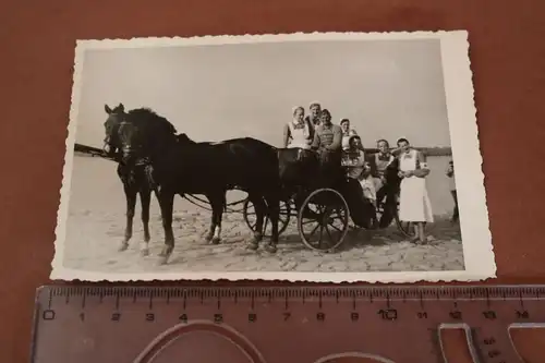 tolles altes Foto - Soldaten und Krankenschwestern mit Kutsche - Semlin ?? 