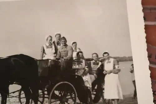 tolles altes Foto - Soldaten und Krankenschwestern mit Kutsche - Semlin ?? 