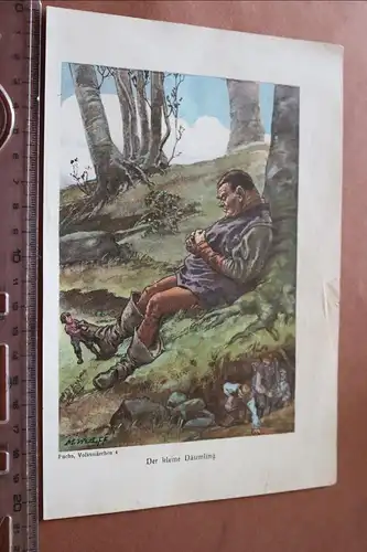 toller alter Druck - Der kleine Däumling - Fuchs, Volksmärchen 