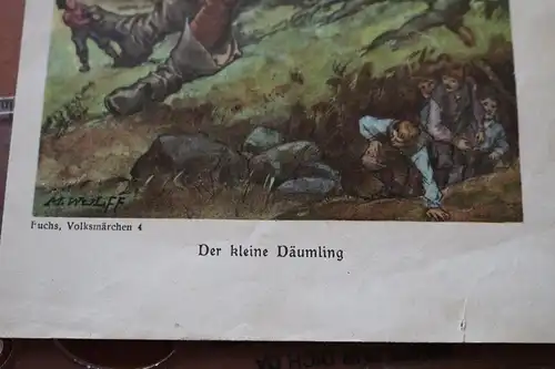 toller alter Druck - Der kleine Däumling - Fuchs, Volksmärchen 