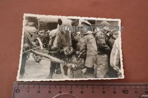 tolles altes Foto - Soldaten mit Tarnjacken Sumpftarn und Splittertarn 1944