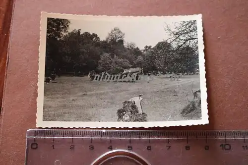 tolles altes Foto - getarntes Jagdflugzeug am Waldrand