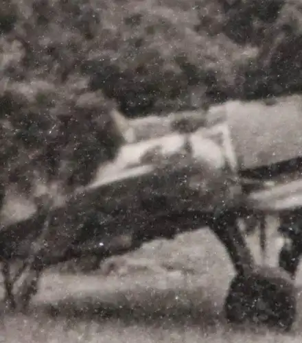 tolles altes Foto - getarntes Jagdflugzeug am Waldrand