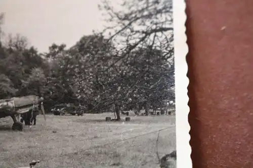 tolles altes Foto - getarntes Jagdflugzeug am Waldrand