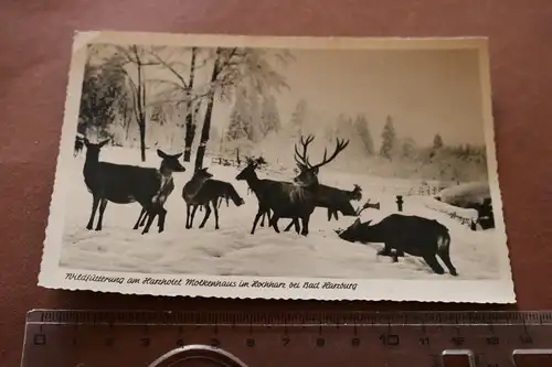 tolle alte Karte -  Wildfütterung am Harzhotel Molkenhaus 50-60er Jahre