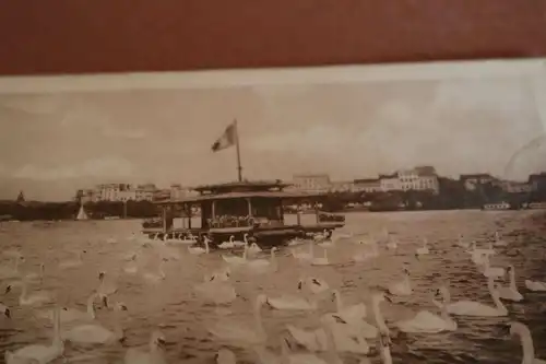 tolle alte Karte - Hamburg Schwäne auf der Alster - 30-40er Jahre ??