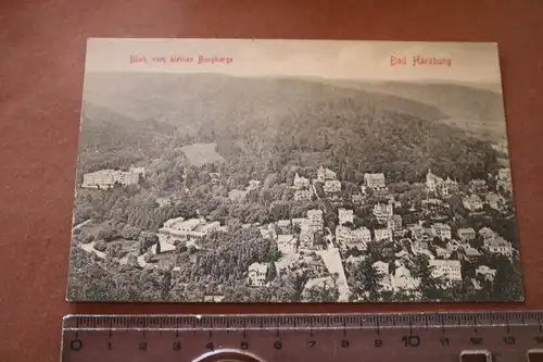 tolle alte Karte -  Bad Harzburg vom Burgberge aus gesehen 1910-20 ?