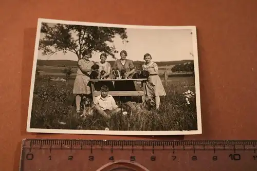 tolles altes Foto Familie mit Hundewelpen , Dackel  und andere 20-40er Jahre