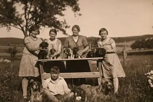 tolles altes Foto Familie mit Hundewelpen , Dackel  und andere 20-40er Jahre