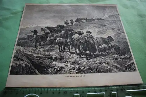 alter Ausschnitt - Szene  Abzug von der Alm - Kühe 
