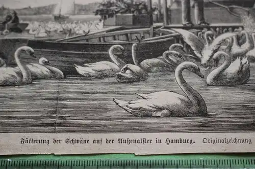 alter Ausschnitt - Szene  Fütterung der Schwäne Aussenalster Hamburg