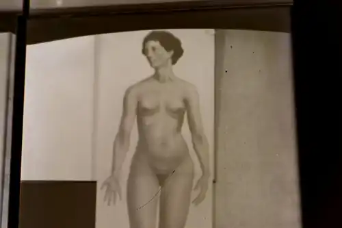 vier tolle alte Glasnegative abfotografierte Aktstudien ? Frau   30-40er Jahre 