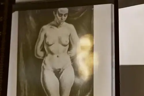 vier tolle alte Glasnegative abfotografierte Aktstudien ? Frau   30-40er Jahre 