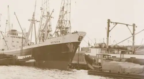 tolles altes Negativ - Frachtschiff Octavia im Hafen - Bremen ? Hamburg ?