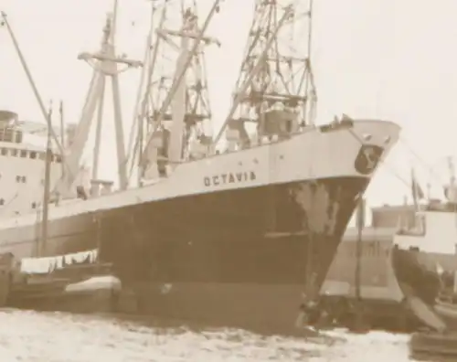 tolles altes Negativ - Frachtschiff Octavia im Hafen - Bremen ? Hamburg ?