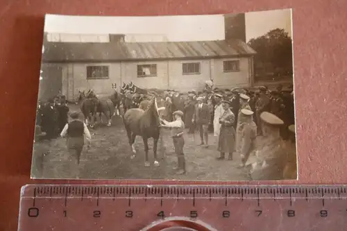 tolles altes Foto - Pferdeschau - Fohlenschau - General ??? , Soldaten dabei 
