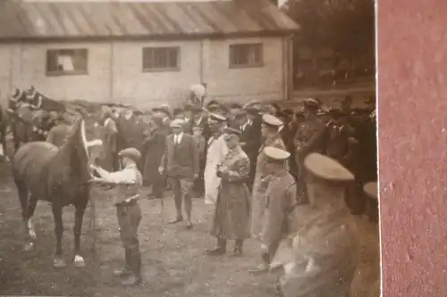 tolles altes Foto - Pferdeschau - Fohlenschau - General ??? , Soldaten dabei 