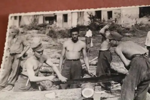 zwei alte Fotos - Soldaten mit Feldmütze bei Hitze am Bäume fällen